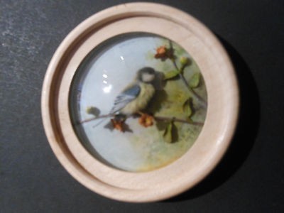 Great Tit